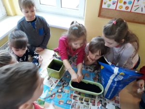 Zielony kącik