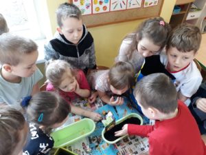 Zielony kącik